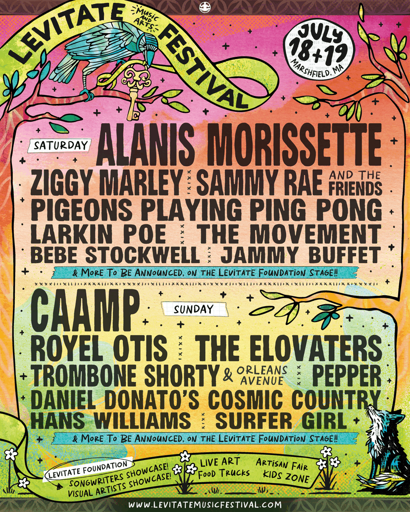 Levitate Festival