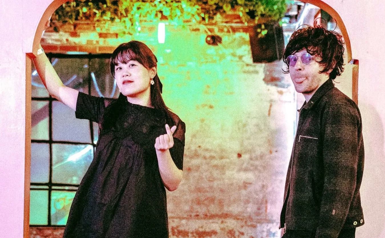 Chinese American Bear